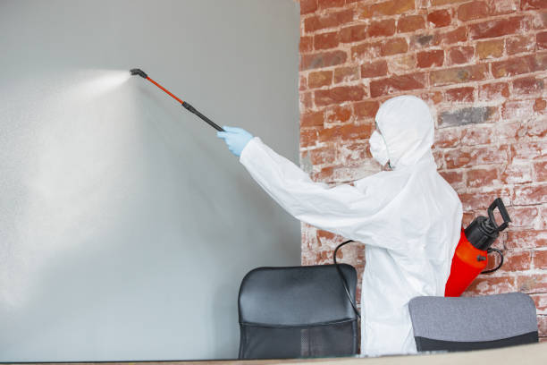 Best Real Estate Mold Inspection  in Scaggsville, MD