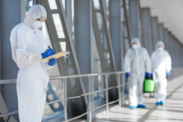 Best Real Estate Mold Inspection  in Scaggsville, MD