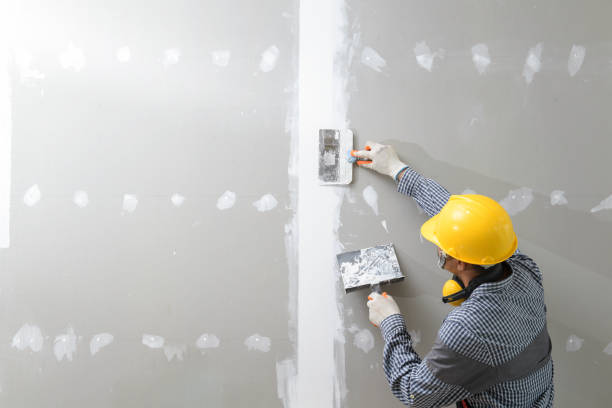 Best Air Quality Testing for Mold Spores  in Scaggsville, MD