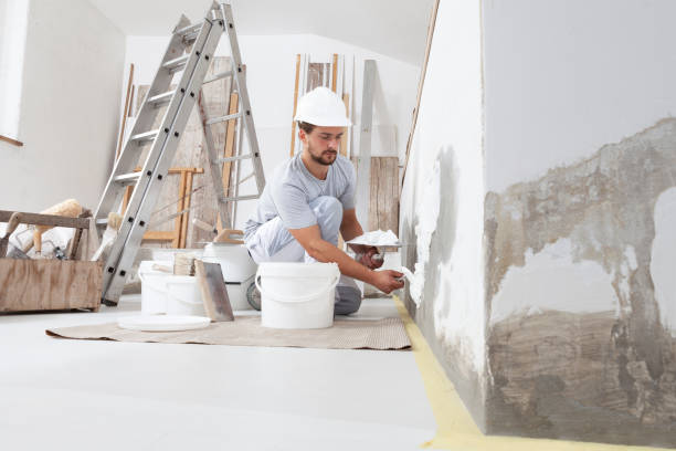 Best Mold Odor Removal Services  in Scaggsville, MD
