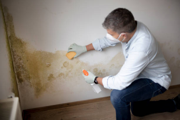 Best Post-Remediation Verification Testing  in Scaggsville, MD