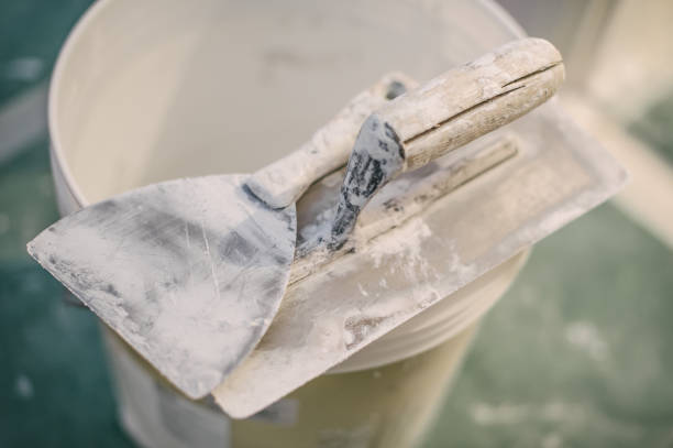 Best Commercial Mold Inspection  in Scaggsville, MD