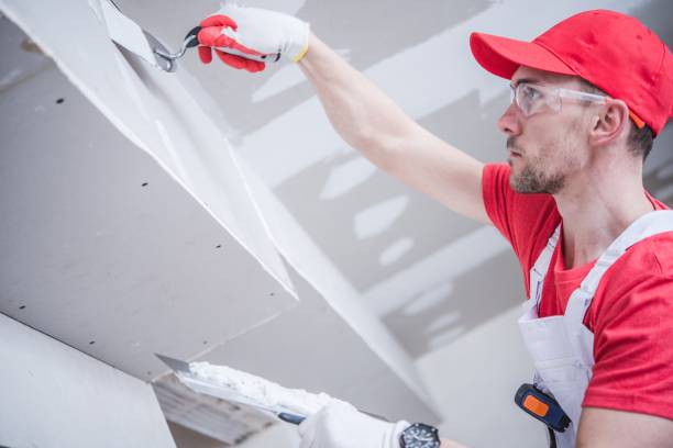 Best Black Mold Removal  in Scaggsville, MD